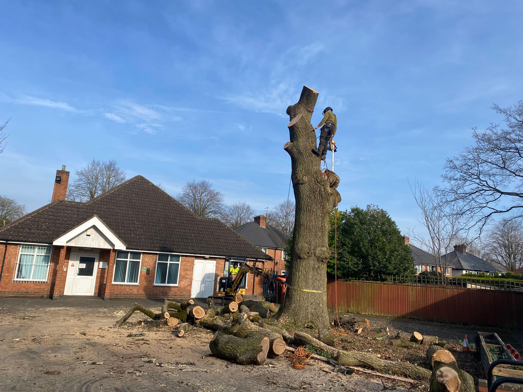 APS tree services
